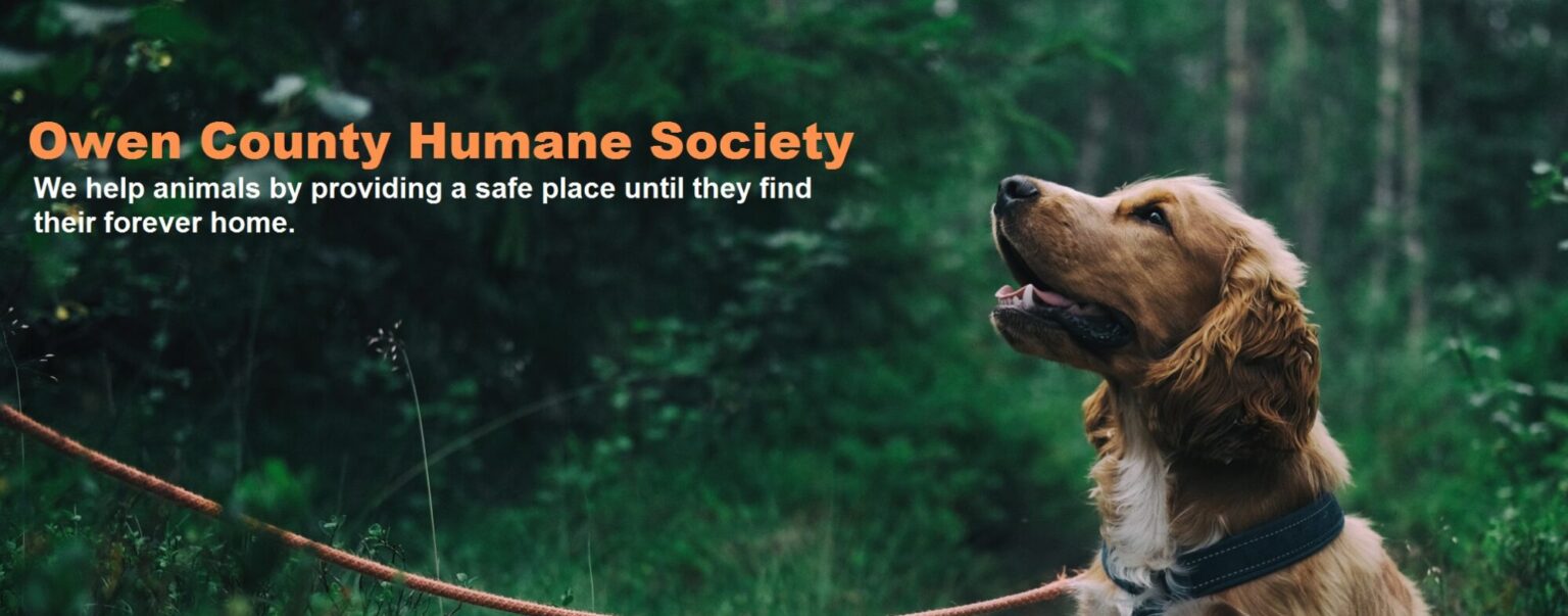 Owen County Humane Society – We provide a safe place while animals find ...